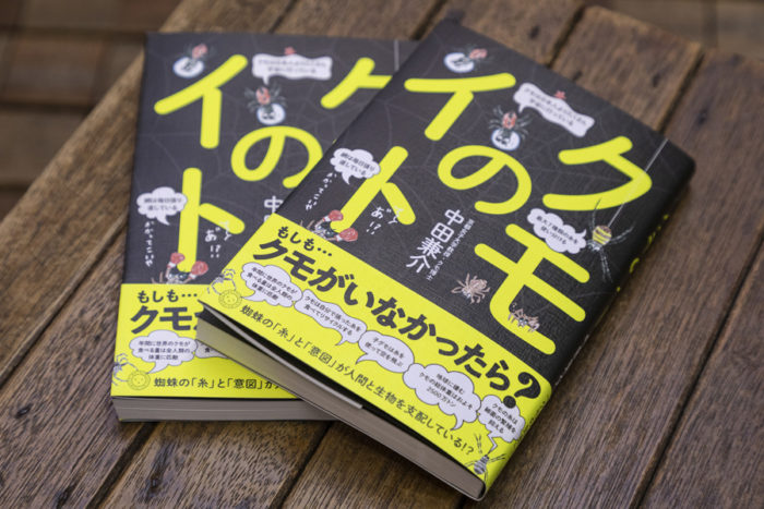 クモのイトというタイトルの本