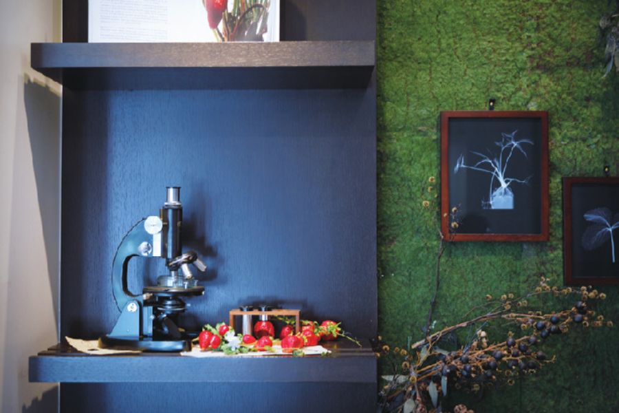 メゾンドフルージュの店内