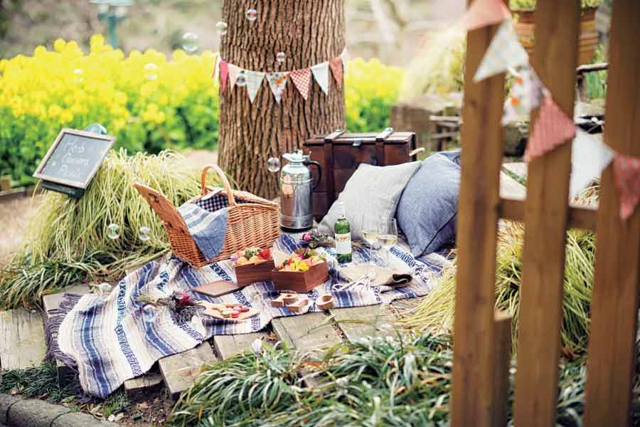 おしゃれピクニック