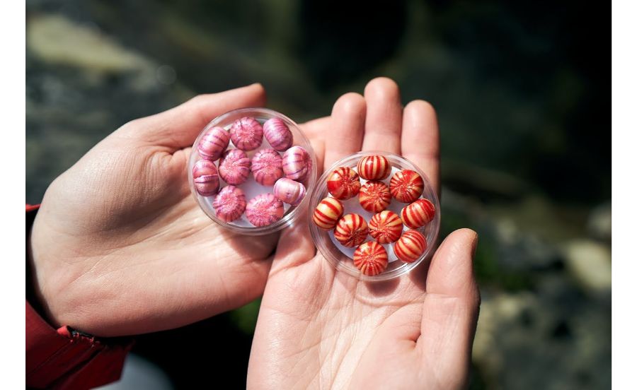 貴船神社の「結縁手鞠・恋珠手鞠」2個セット