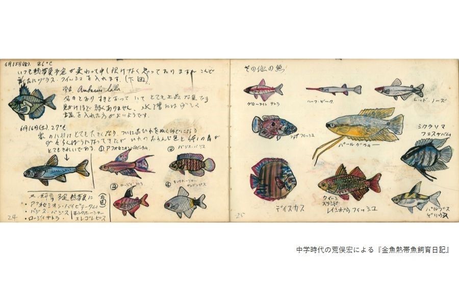 京都国際マンガミュージアム企画展「荒俣宏の大大マンガラクタ館」開催