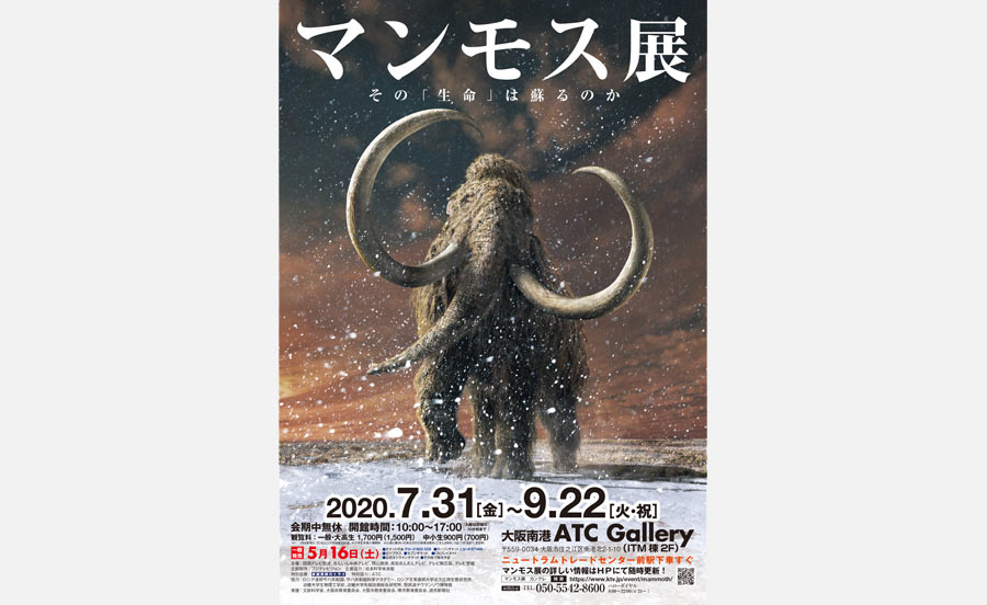 「はじめ人間ギャートルズ」×「マンモス展」コラボマフラータオル付きチケット販売