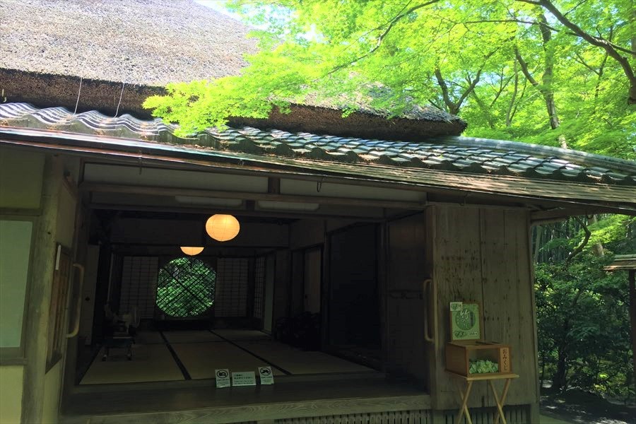 青紅葉と藁ぶき屋根の建築物