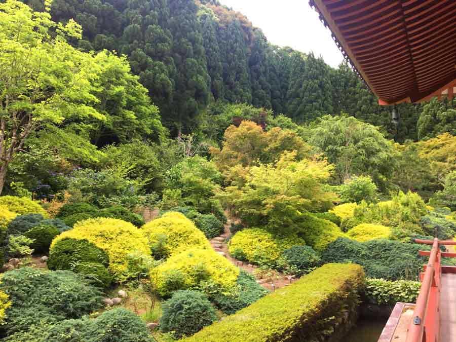 本堂から見る庭園と借景