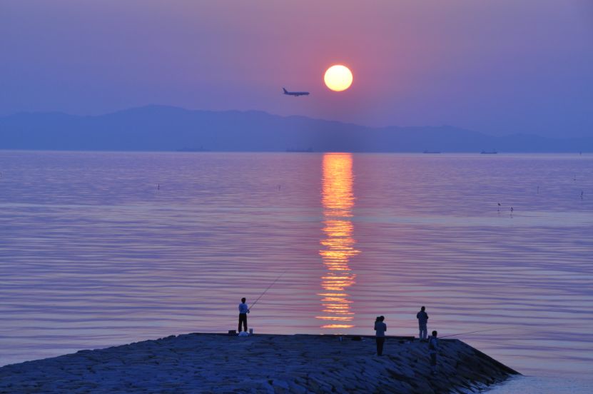 沈む夕日と着陸する飛行機