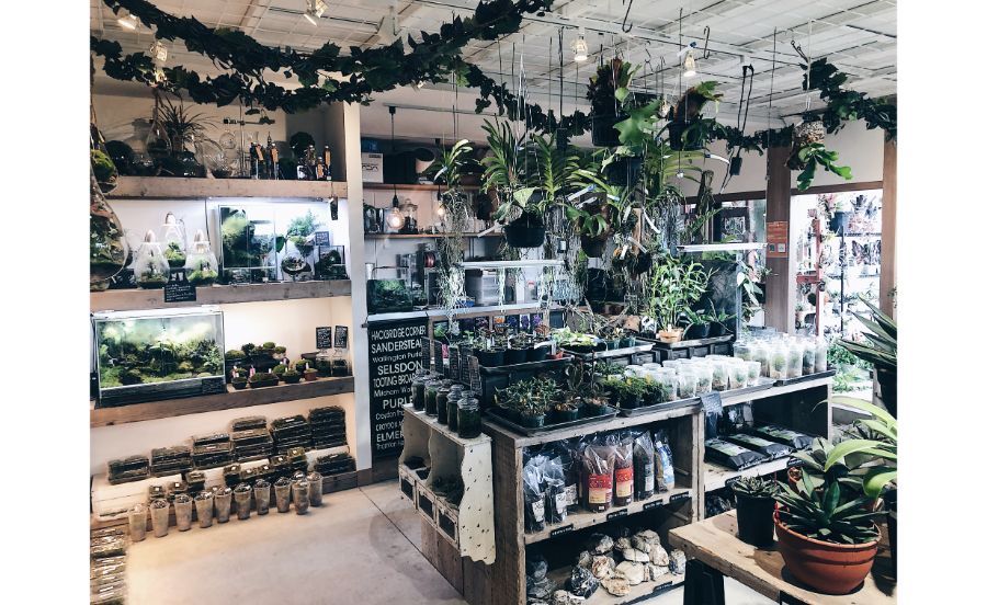 陽春園 パルコジョキ