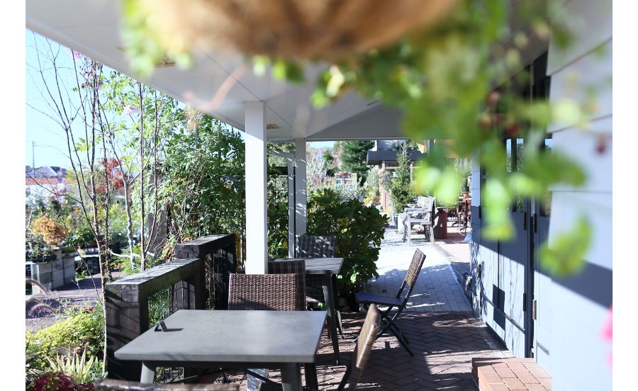 陽春園 パルコジョキ