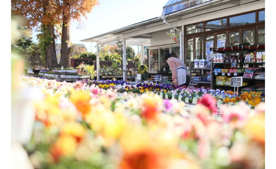 陽春園 パルコジョキ