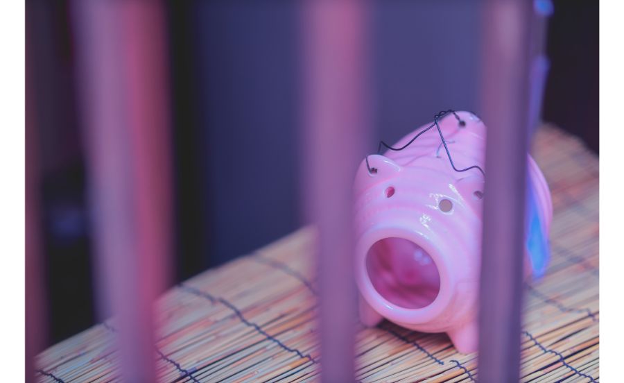 おしゃれな蚊取り線香も　最新蚊よけ対策はこれ！（線香、スプレー、ハーブ、除菌など）