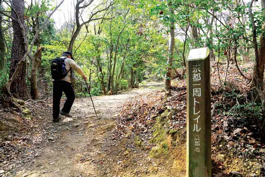 京都一周トレイルはハイキング初心者にもおすすめ！