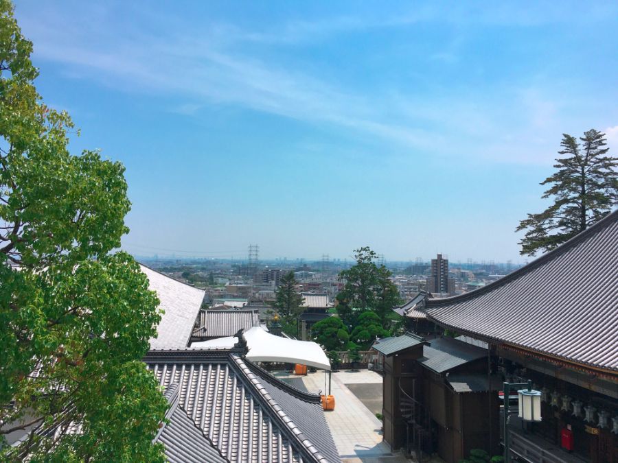 境内からの眺望