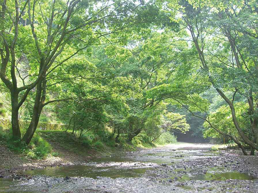 9月6日(日)開催、妙見の森リフト開業60周年記念ハイキング