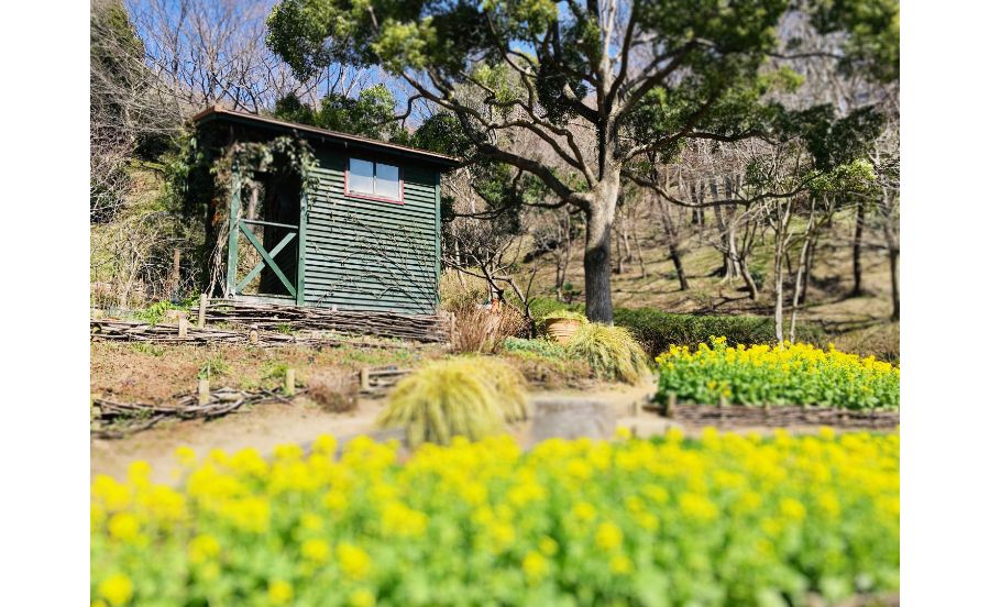 神戸布引ハーブ園