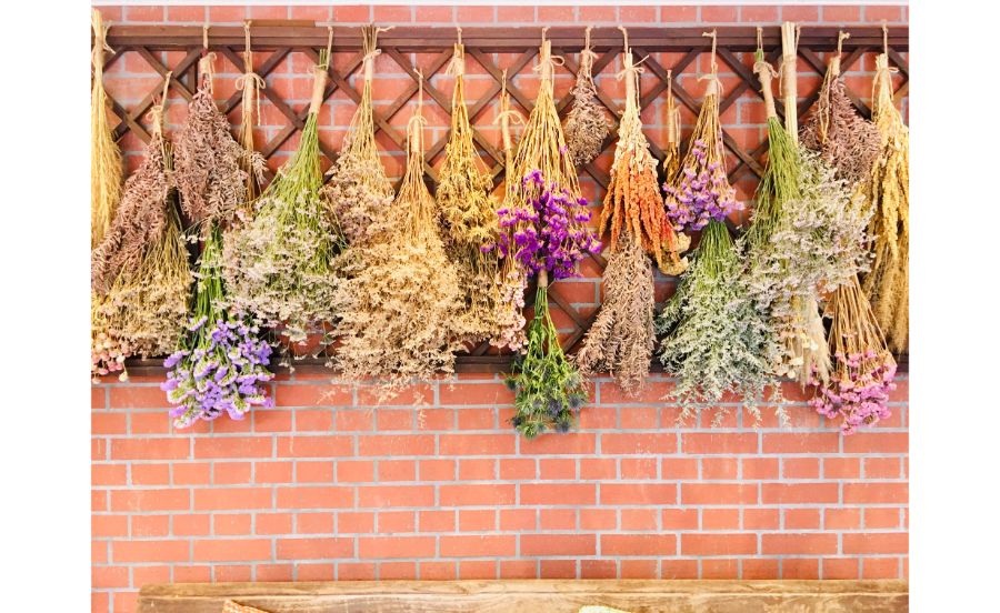 神戸布引ハーブ園