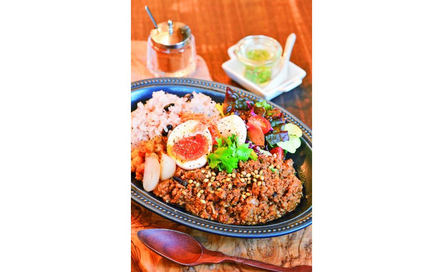 心地良い刺激のあるキーマカレー