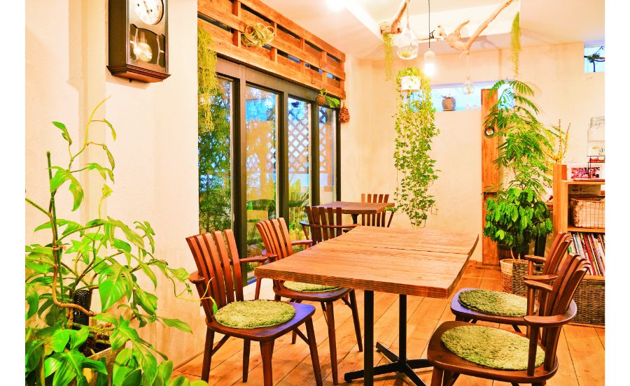 森をイメージした北欧テイストの店内