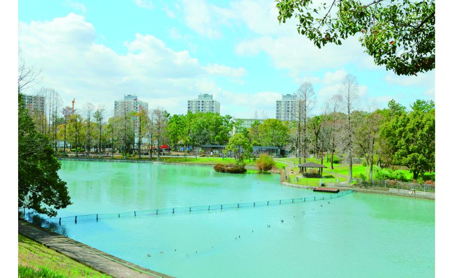 【大阪・京都・神戸の公園】遊具にカフェなど家族で1日遊べる厳選パーク8選【TOKK2019年5月15日号掲載】