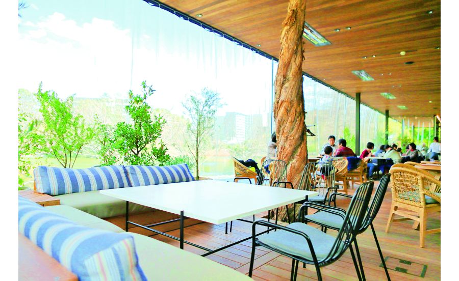 テラス席で緑を眺めながら食事をすることも