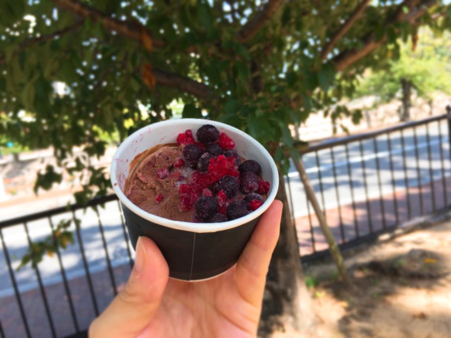 チョコレートアイス