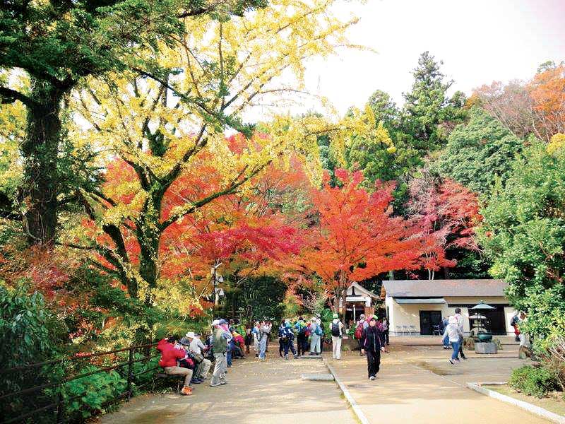 深まる秋を味わいに、清荒神から中山寺・奥之院へ。阪急ハイキング11月14日(土)開催
