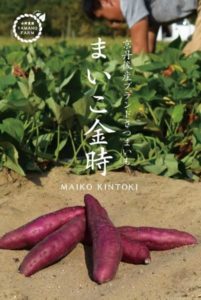 畑に置かれたまいこ金時