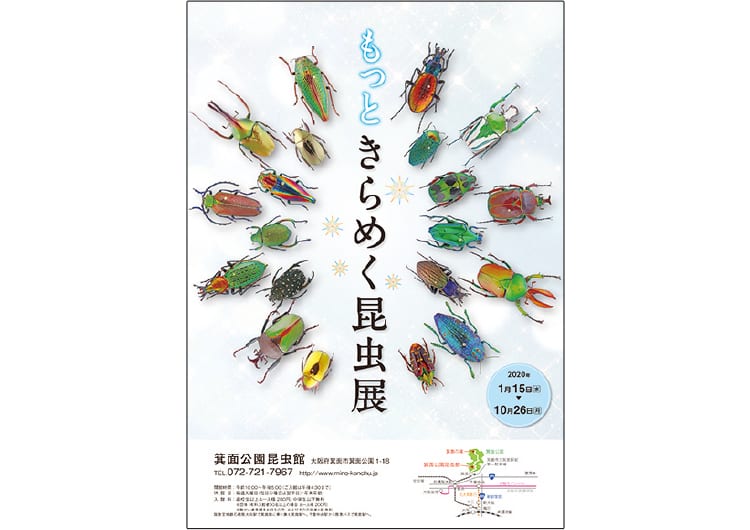 展示のポスター