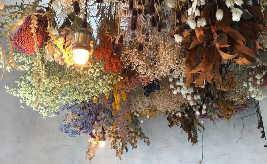 彩り豊かなドライフラワー