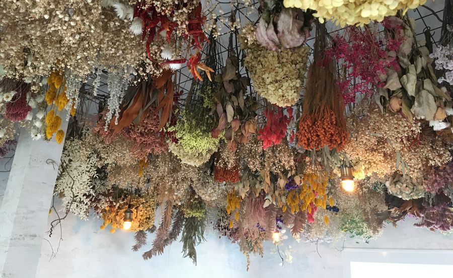 天井からはさまざまなドライフラワーが