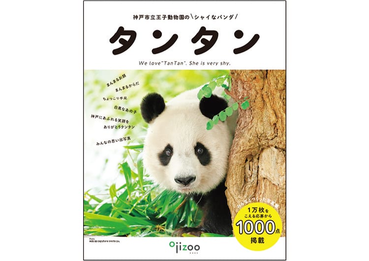 こちらを見つめるタンタン