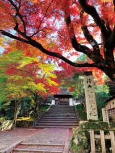 百地で彩られた安楽寺の山門