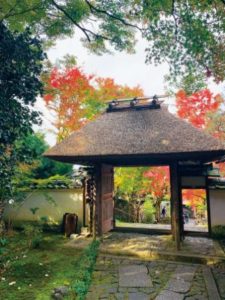 侘びを感じる山門