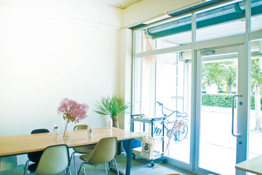 日差しが差し込む店内