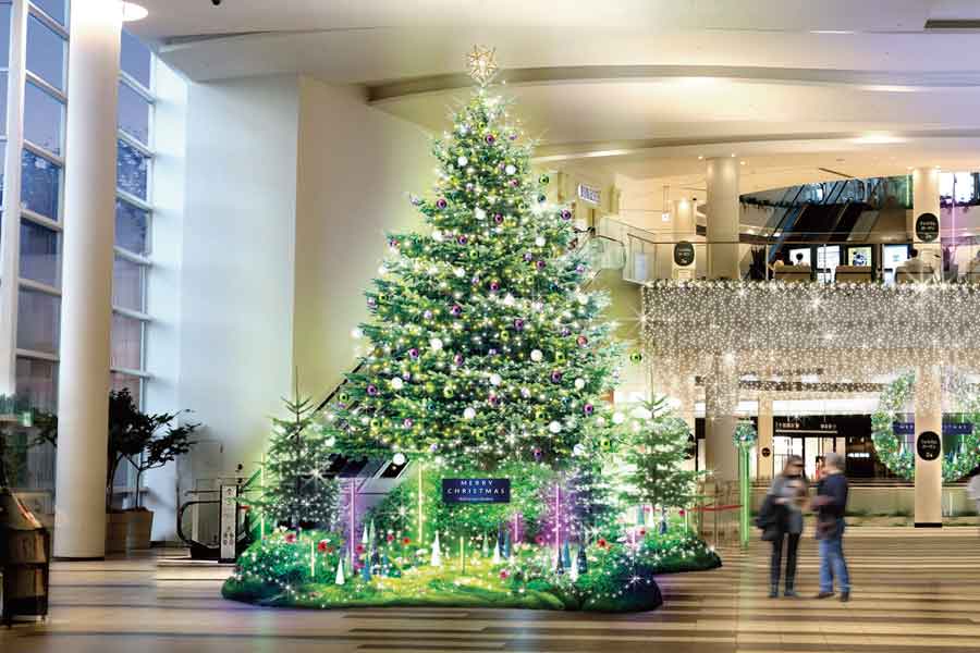 彩られたもみの木