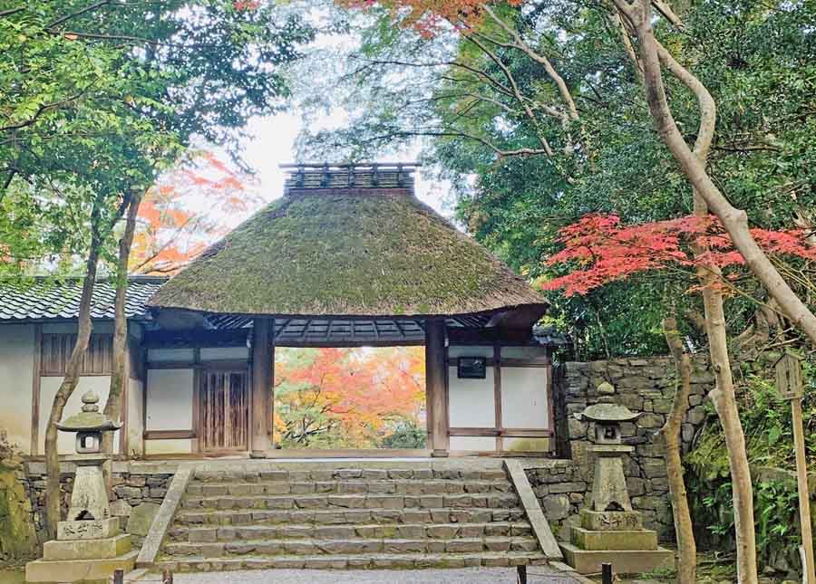 法然院の門と紅葉