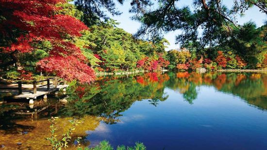 【神戸～宝塚周辺の紅葉2025】紅葉の名所と穴場スポット15選