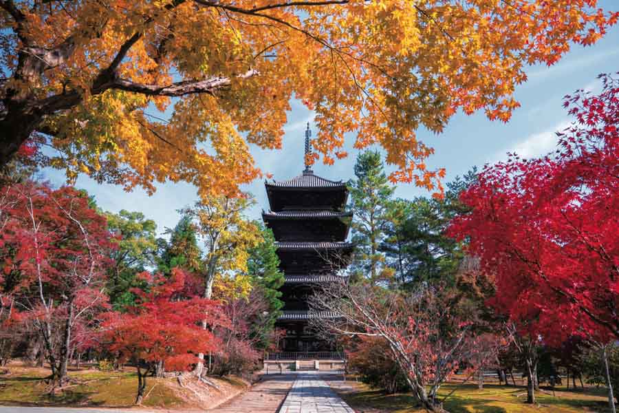 三色もみじに彩られる真如堂境内