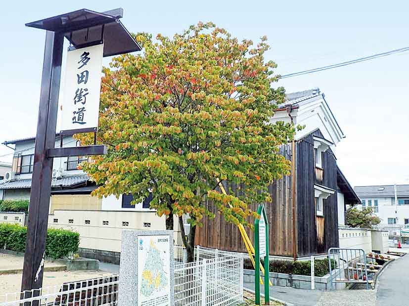 多田街道から猪名野神社・お酒の白雪へ。のせでんハイキング12月3日(木)開催