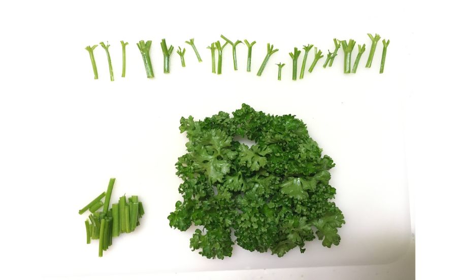 切ったパセリ