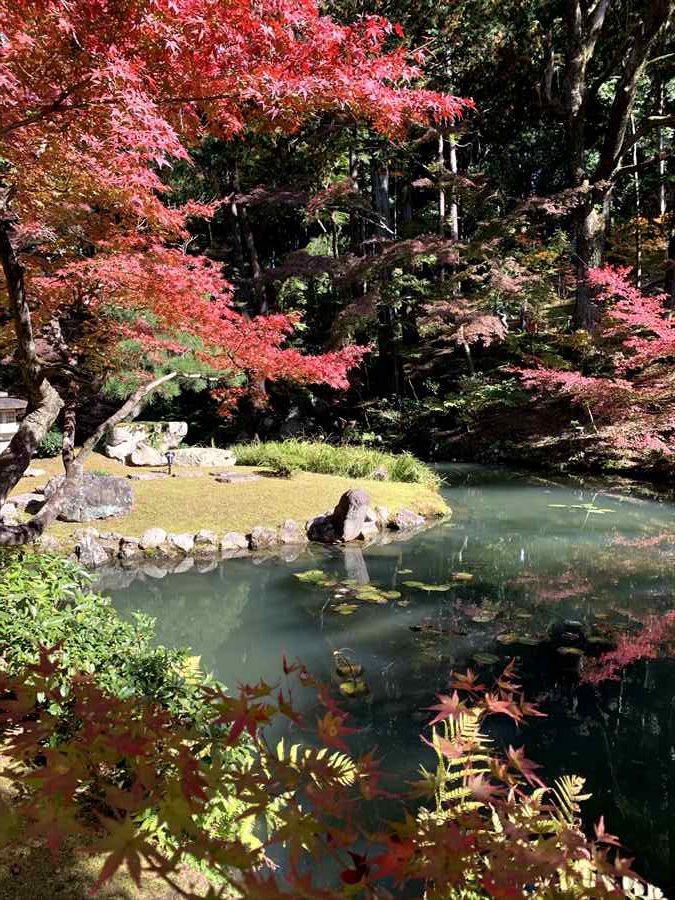 金戒光明寺の庭園。池に映る紅葉