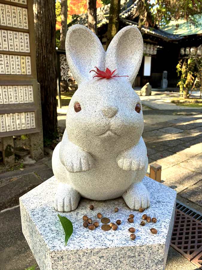 岡崎神社の狛うさぎ