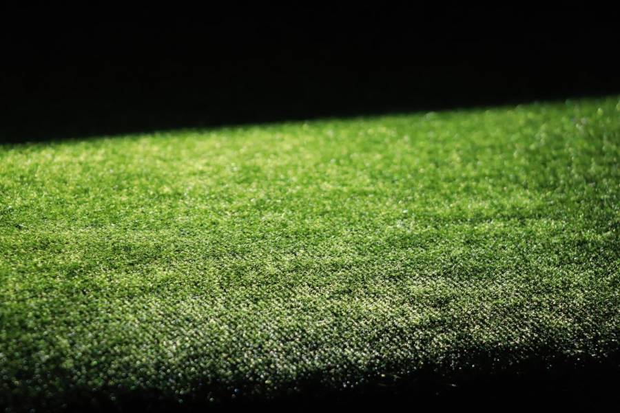 美しい座席シートの毛並み