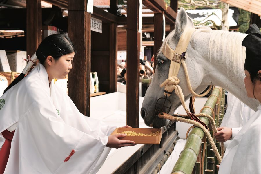 巫女さんと白い馬の神事