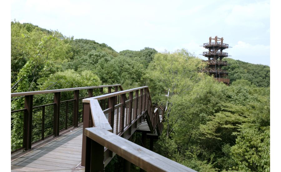 標高82メートルの展望タワーを臨むソラード