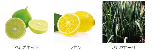 ハンドクリームの含有成分ベルガモット、レモン、パルマローザ