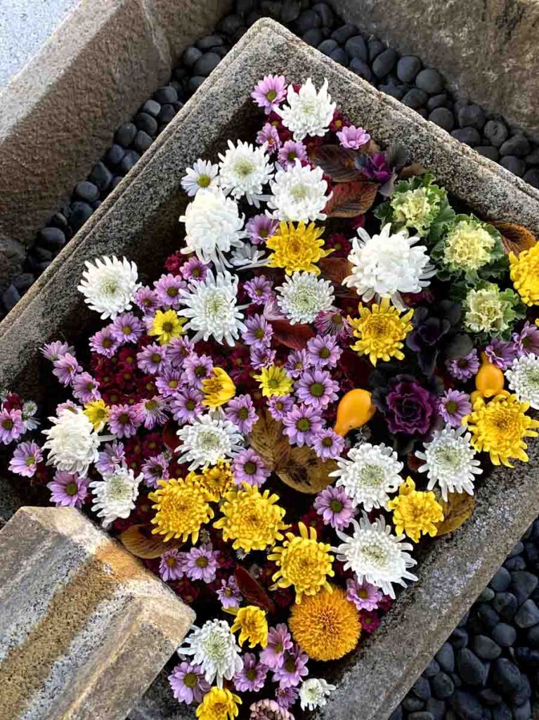 金戒光明寺の花手水