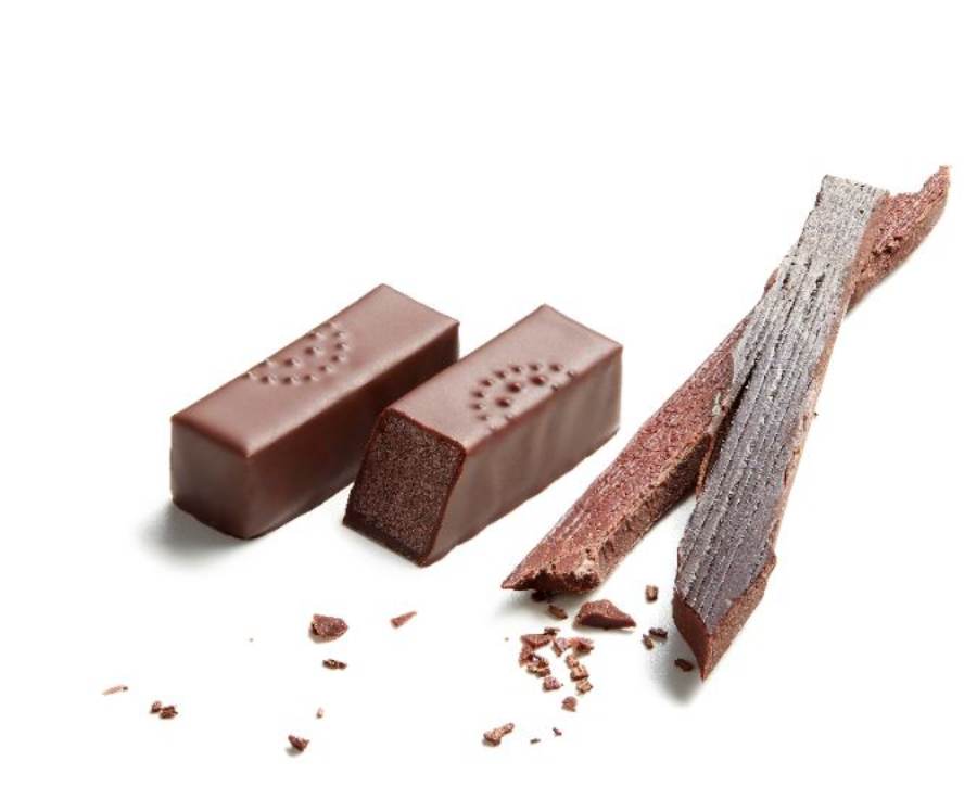 バニラビーンズと並んだチョコレート