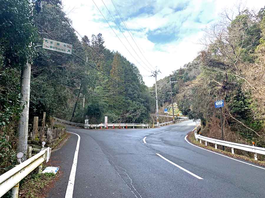 柳谷観音へのルート途中にある竹林