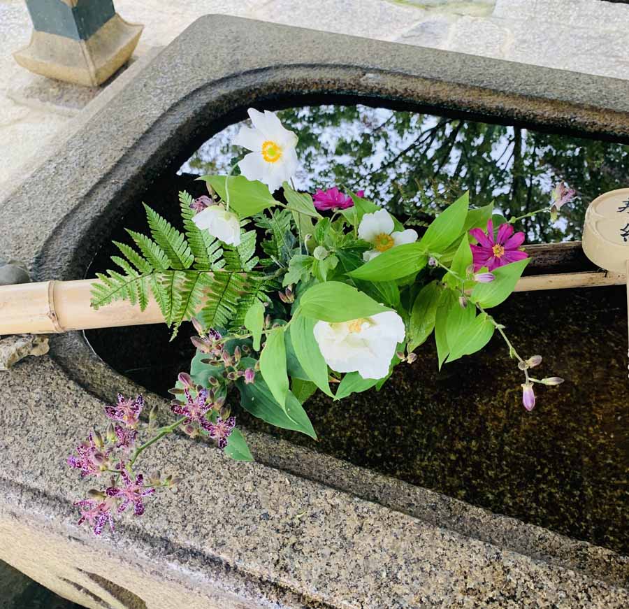 真如堂の控えめに手水舎を飾る花手水