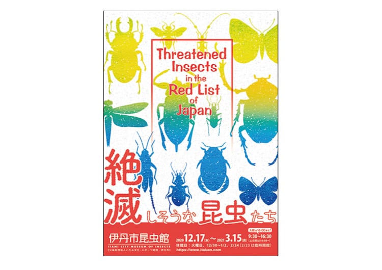 「絶滅しそうな昆虫たち」をテーマに、伊丹市昆虫館で企画展を開催中