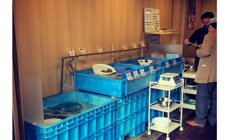 卸直売&BBQ 活貝センター 小林漁港の水槽